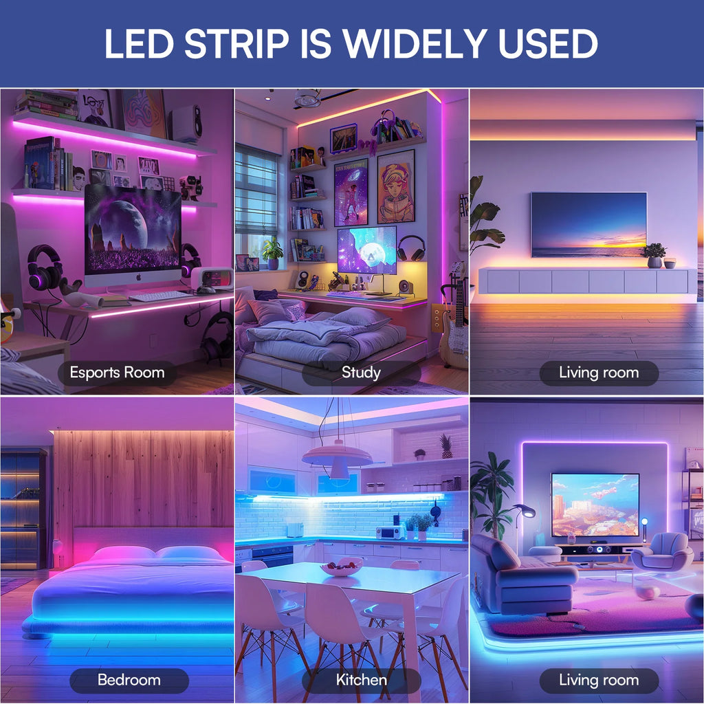 100ft 24V-12D-30M Meter 2835RGB Red Green Blue Colour Daybetter App Control Smart LED Strip Light for Home Bedroom